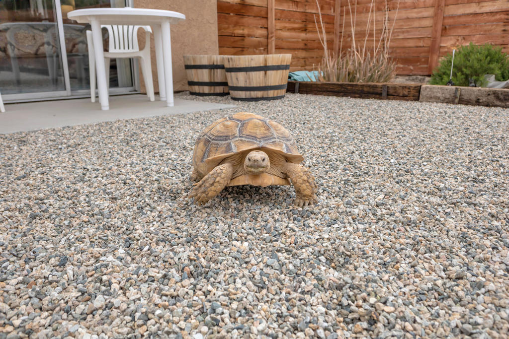 Not Applicable-1 - Residential