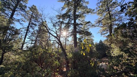 Photo of 53040 Starlite Lane, Idyllwild, CA 92549 (MLS # 219141477DA)