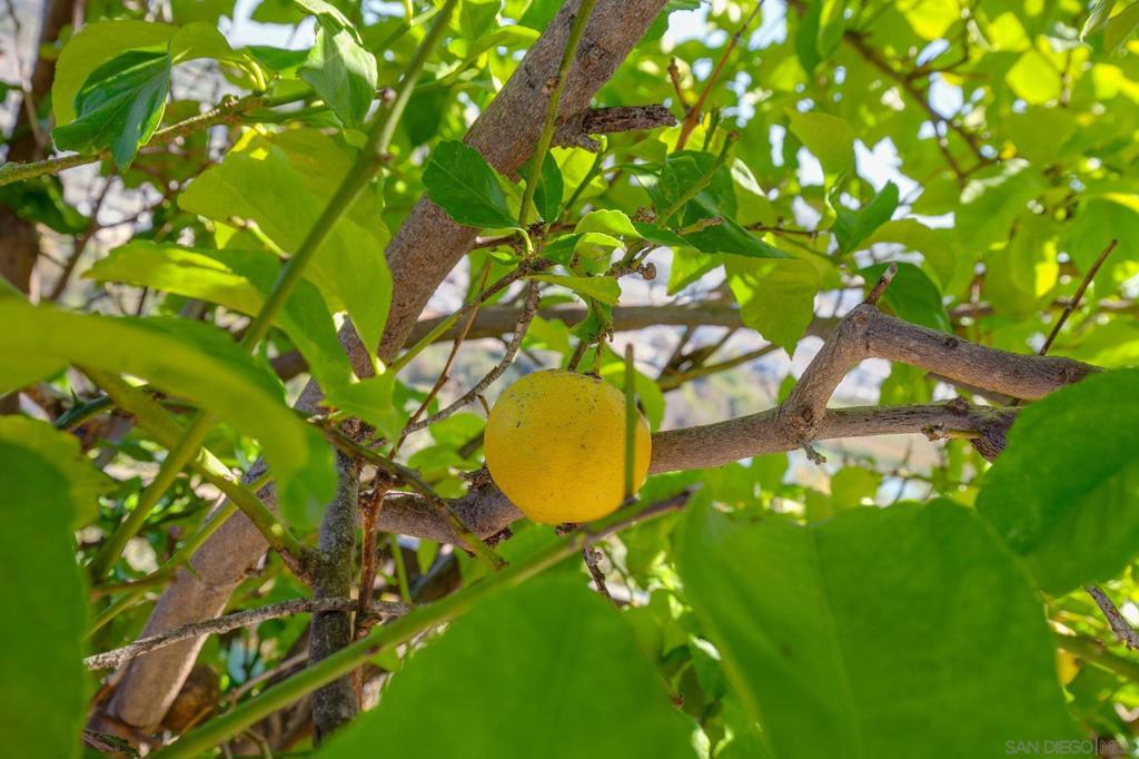 Mission Valley - Residential