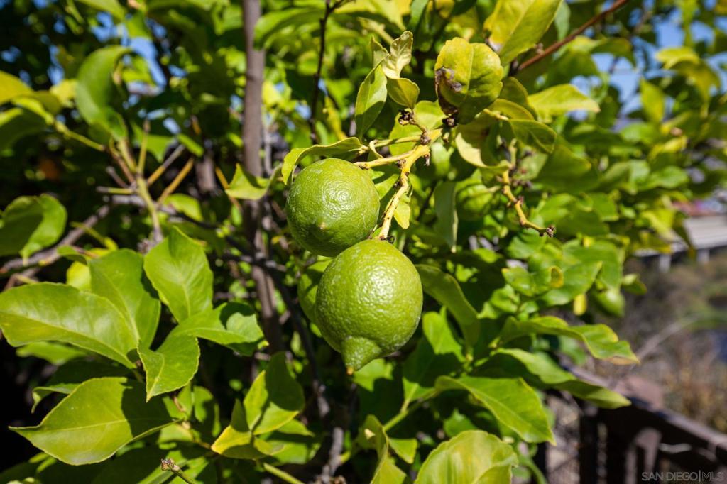 Mission Valley - Residential