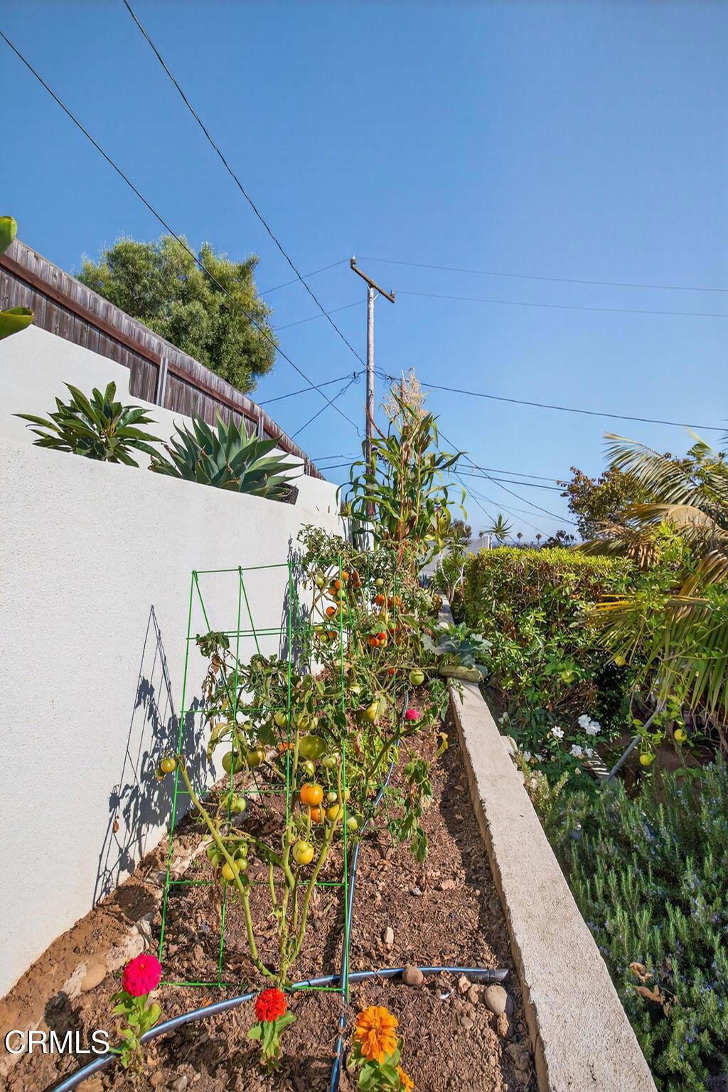 Ventura Heights - 0269 - Residential