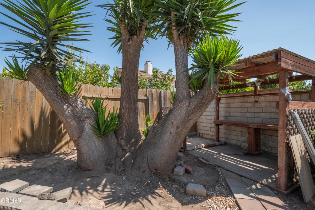 Lionsgate - 305101 - Residential