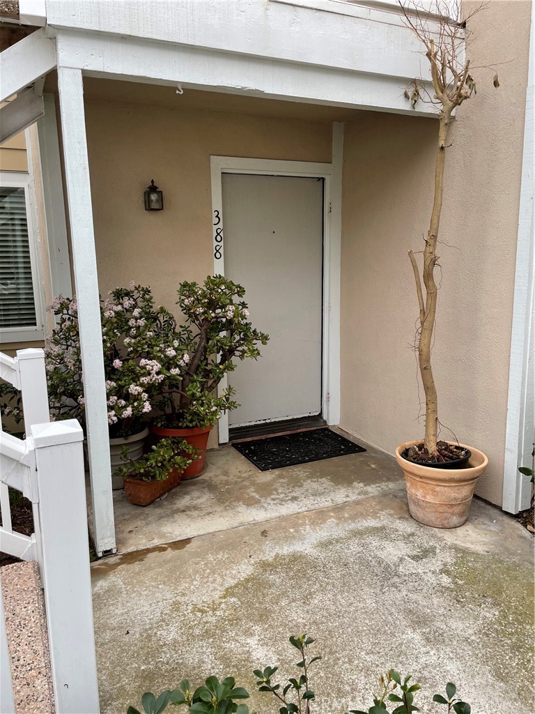 34006 Selva Road 388