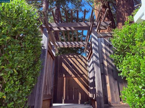 Photo of 143 143 Pulido Rd Rd, Danville, CA 94526 (MLS # 41126249)