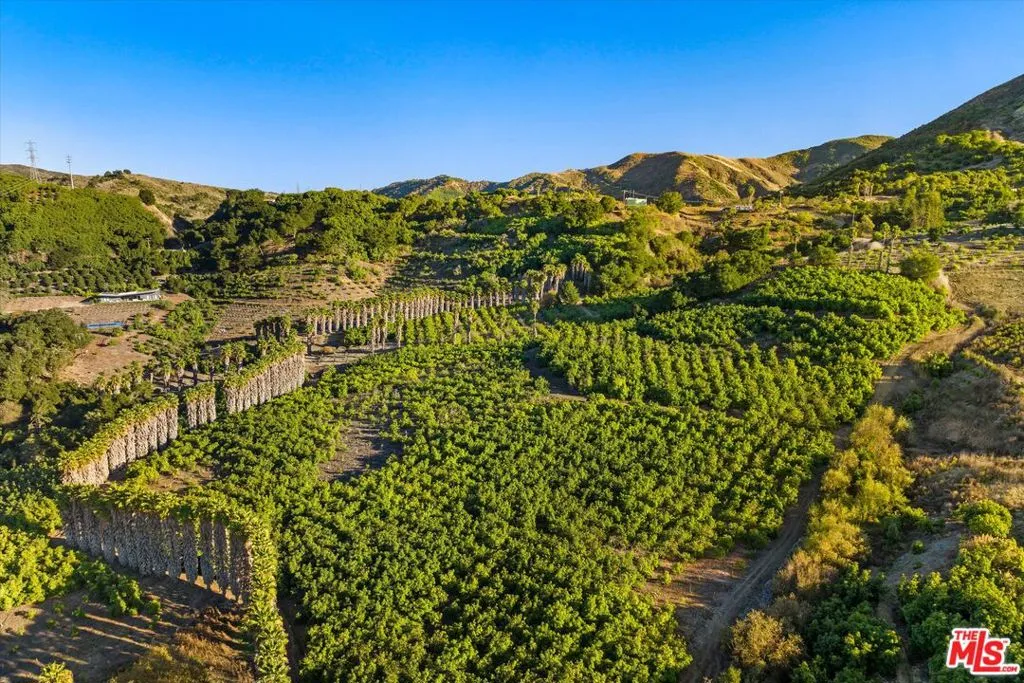 Ventura, California 93001, United States, 3 Bedrooms Bedrooms, ,2 BathroomsBathrooms,Residential,Active,183134