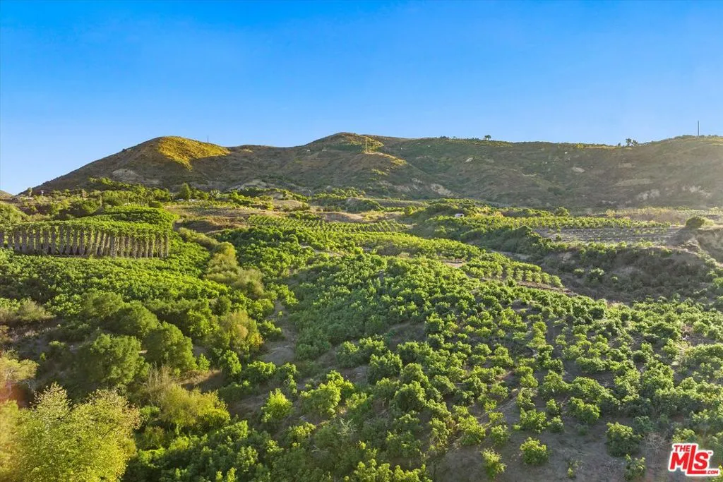 Ventura, California 93001, United States, 3 Bedrooms Bedrooms, ,2 BathroomsBathrooms,Residential,Active,183134