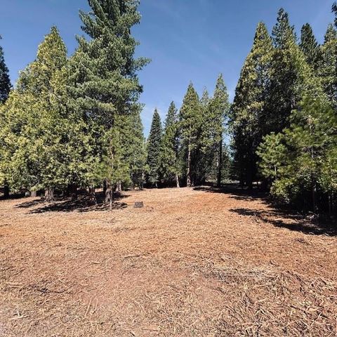 Photo of 790 Red River Drive, Lake Almanor, CA 96137 (MLS # ML82041083)