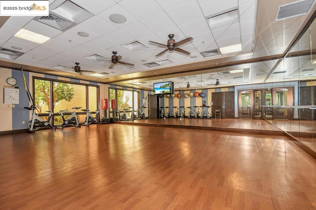 TRIVINE - Residential Lease