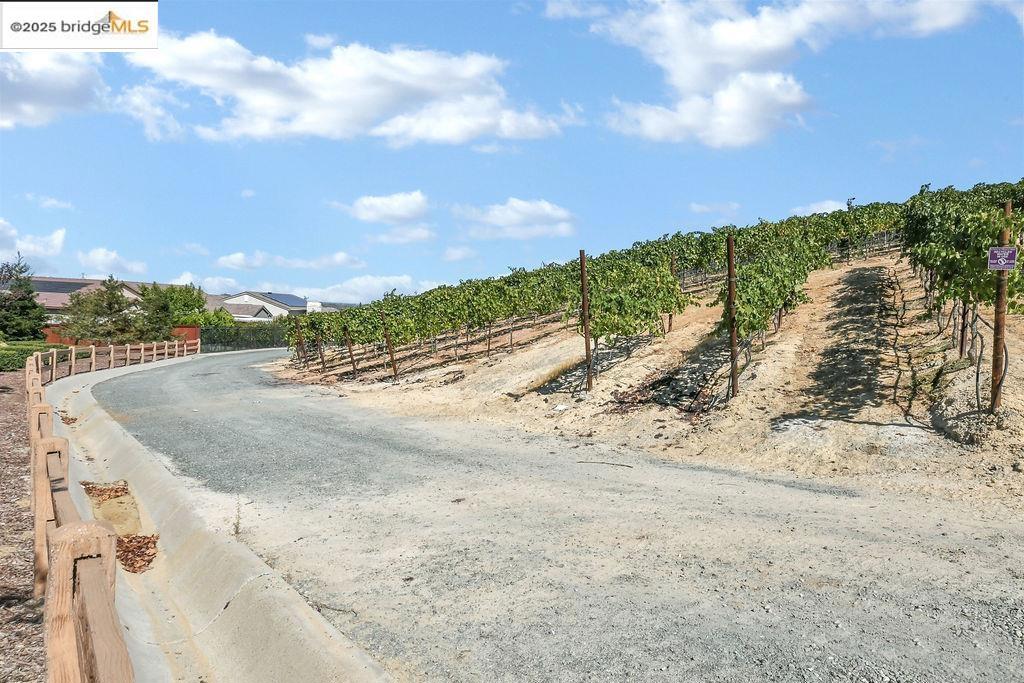 TRIVINE - Residential Lease