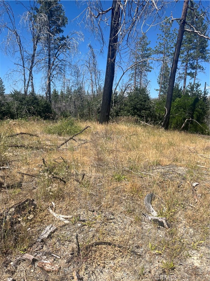 2.86 acres of land ready for a new home. Has well and septic with power nearby. Seller may carry loan.