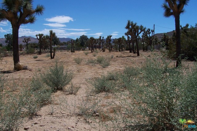 Not Applicable-1 - Land