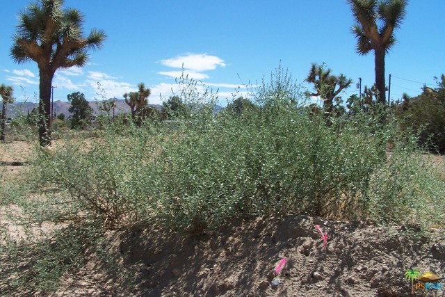 Not Applicable-1 - Land