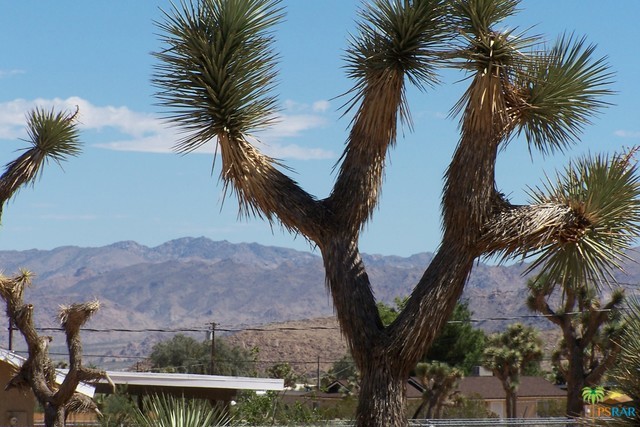 Not Applicable-1 - Land