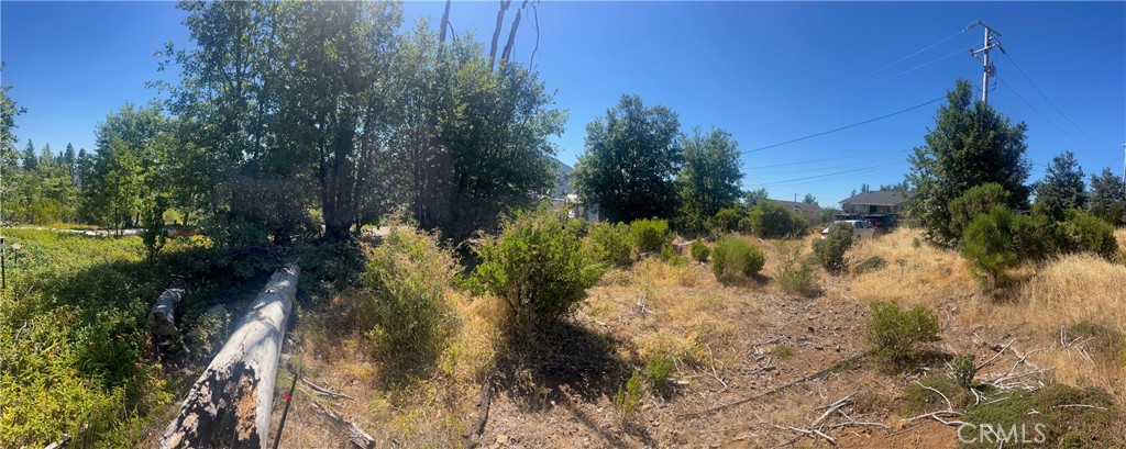 EASY BUILD LEVEL LOT with significant improvements. Nearby access to the Boggs State Forest from the back of the parcel. You have a septic system you can re-use worth about $15,000, a water connection worth $6,500 and credit for school district fees worth up to $6,800. In addition there is a concrete patio you can re-use when you rebuild. The land is practically free! Quiet neighborhood of quality new homes on sought-after Cobb Mountain where you can experience the four seasons in a pristine natural environment. Seller will consider 5% in buyer concessions at close of escrow.
