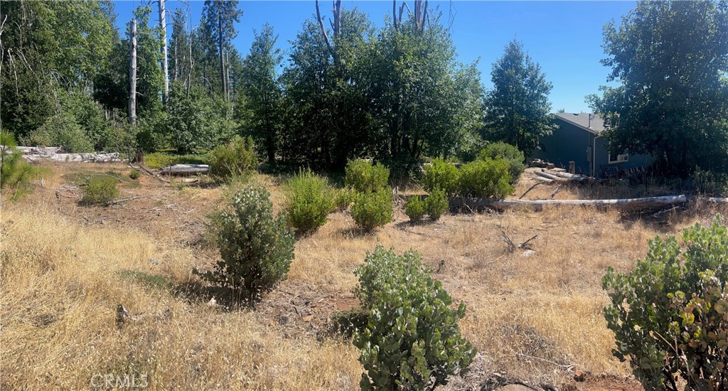11495 Pine Summit