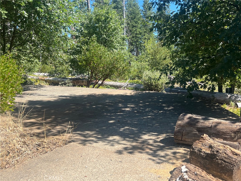 11495 Pine Summit