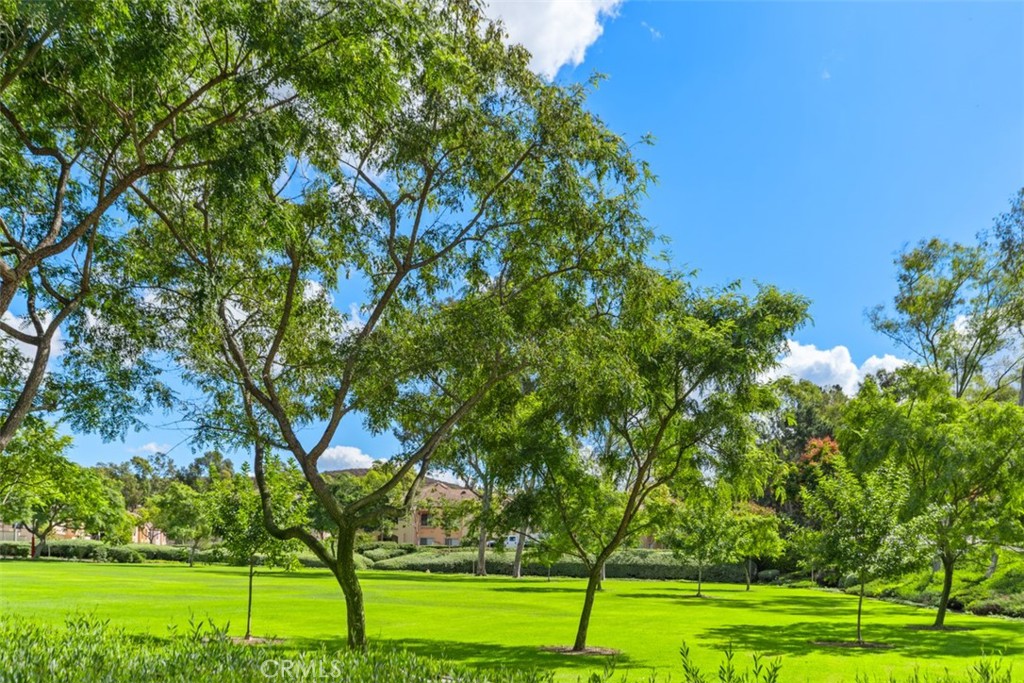 Summit Towne Collection (TST) - Residential Lease