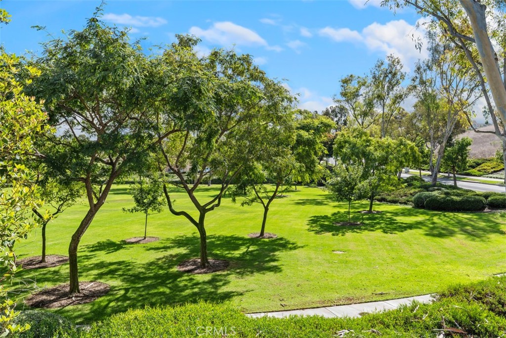 Summit Towne Collection (TST) - Residential Lease