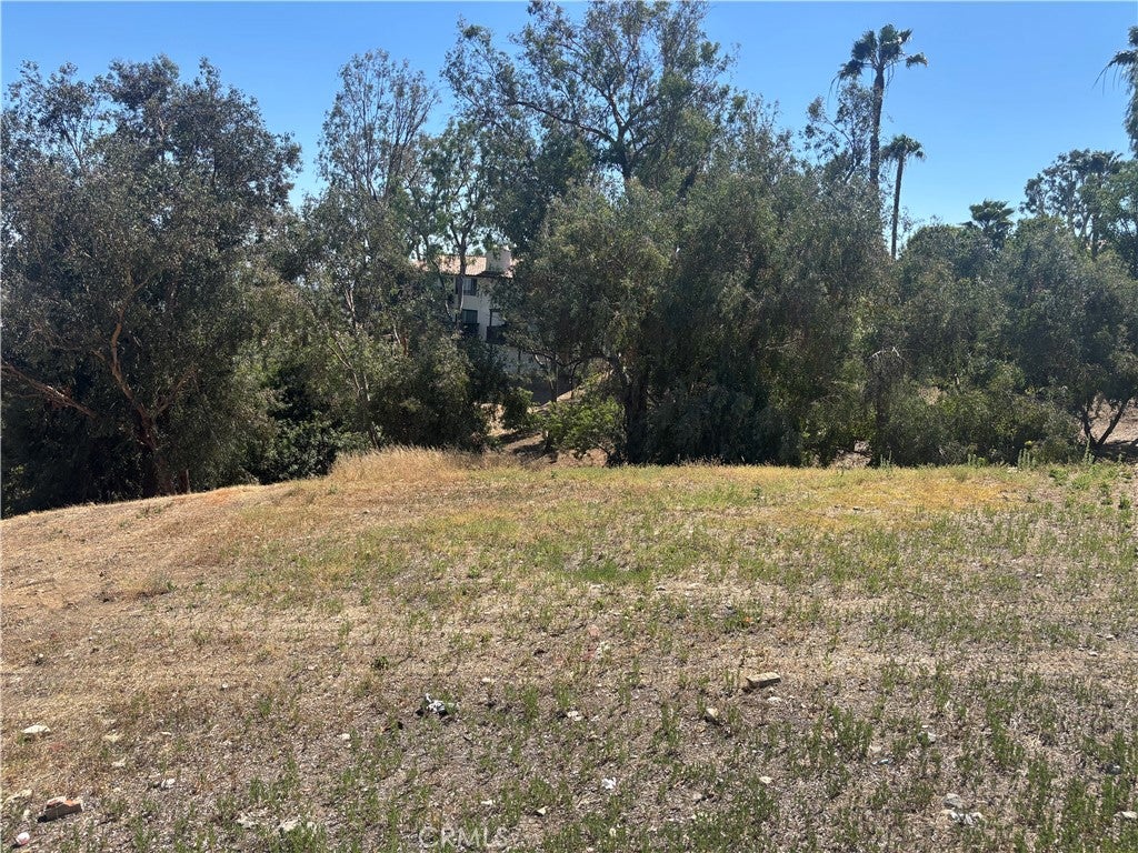 8901 Camino Predera