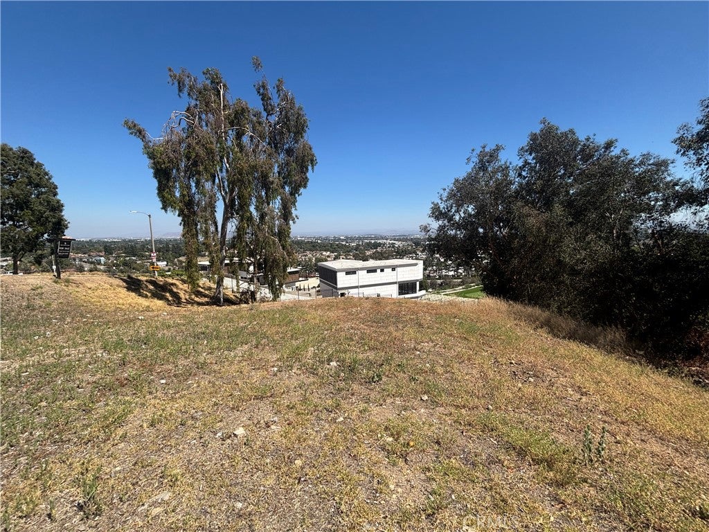 8901 Camino Predera