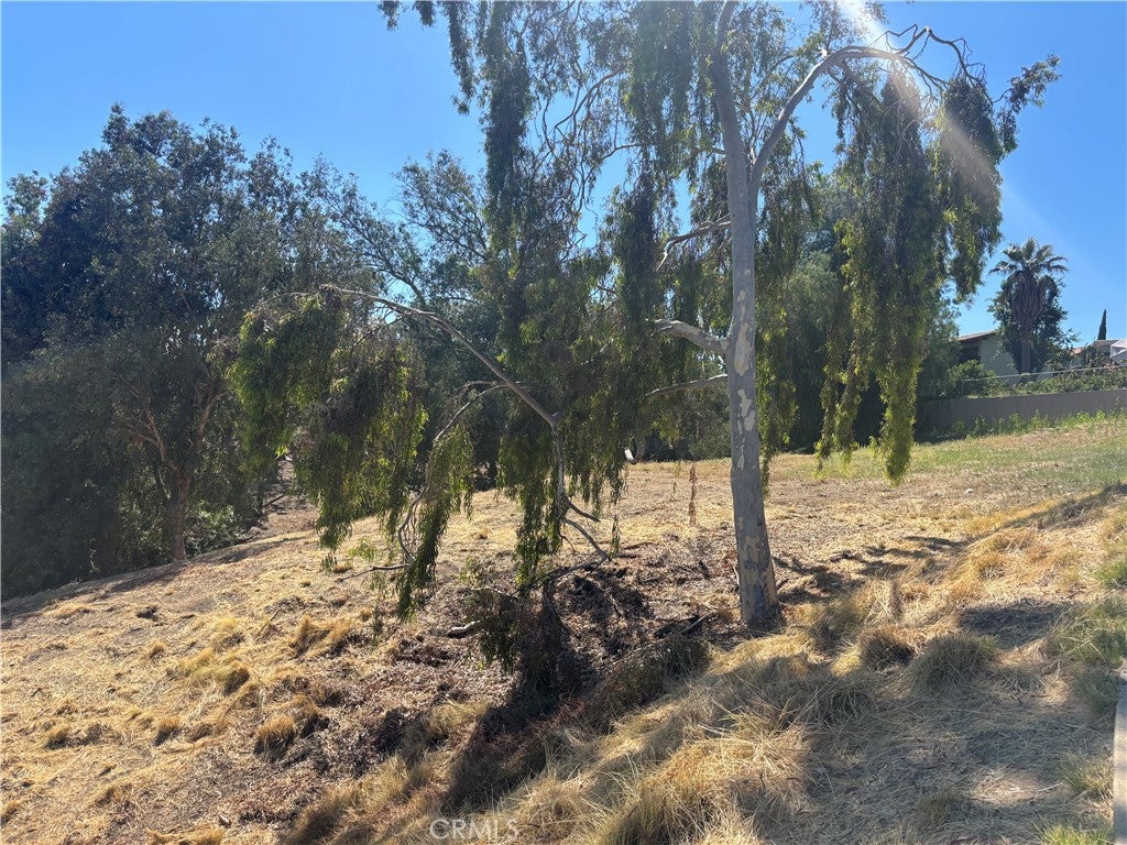 8901 Camino Predera
