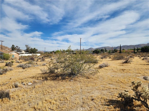 Photo of 61665 Division ST, Joshua Tree, CA 92252 (MLS # SW26142385)