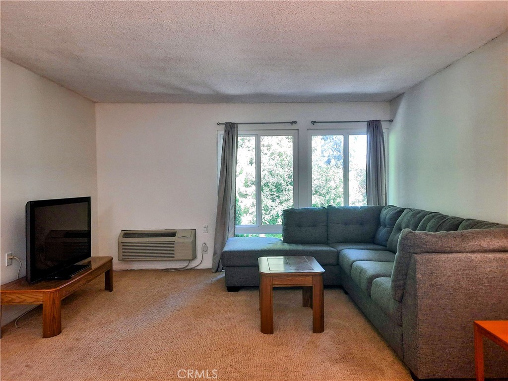 2233 Via Puerta N