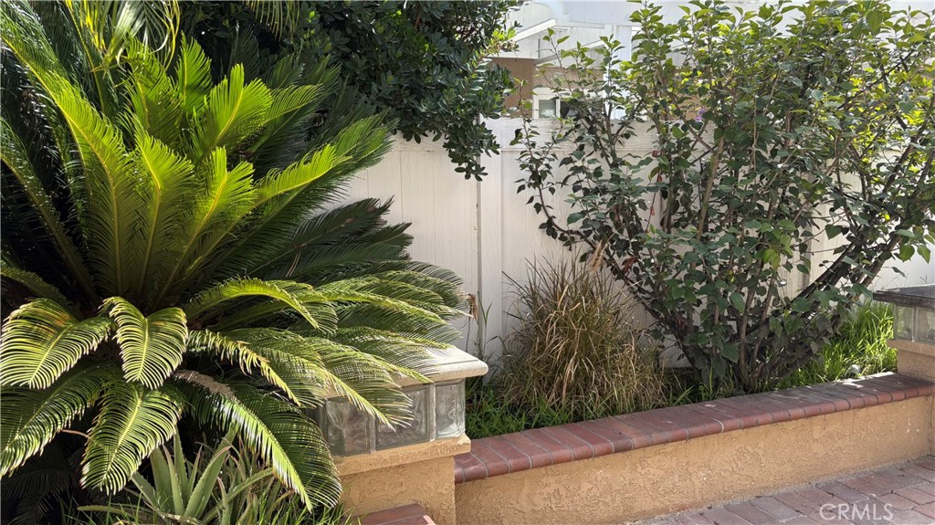 10 Mira Mesa