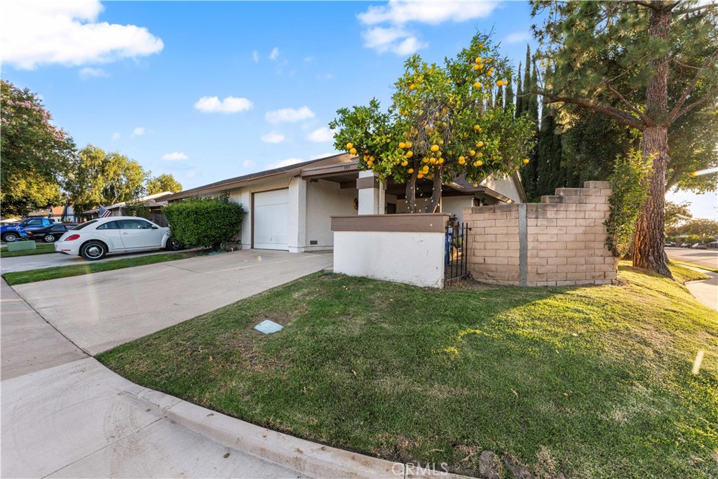 995 Vallejo