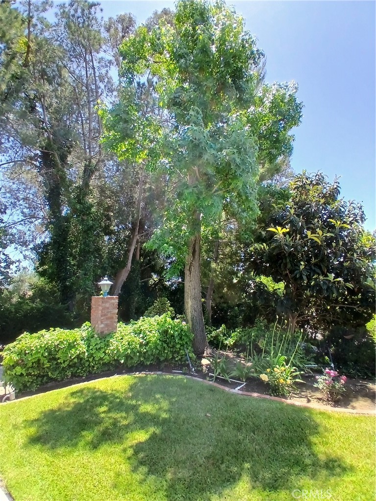 8184 Cielo Vista Drive