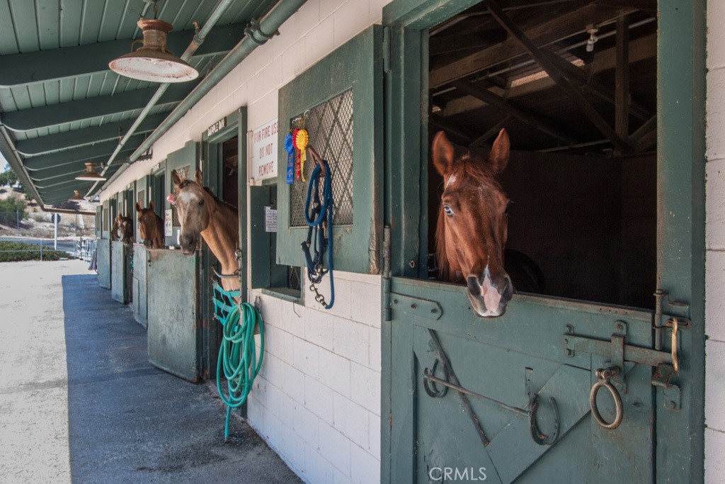 Laguna Woods - Residential
