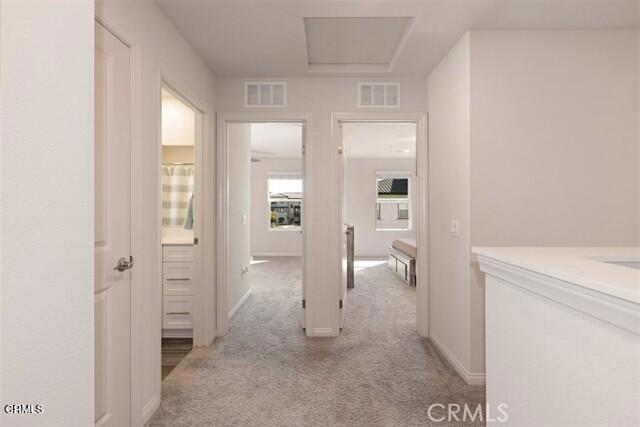 Camarillo Central: Other - 41 - Residential Lease