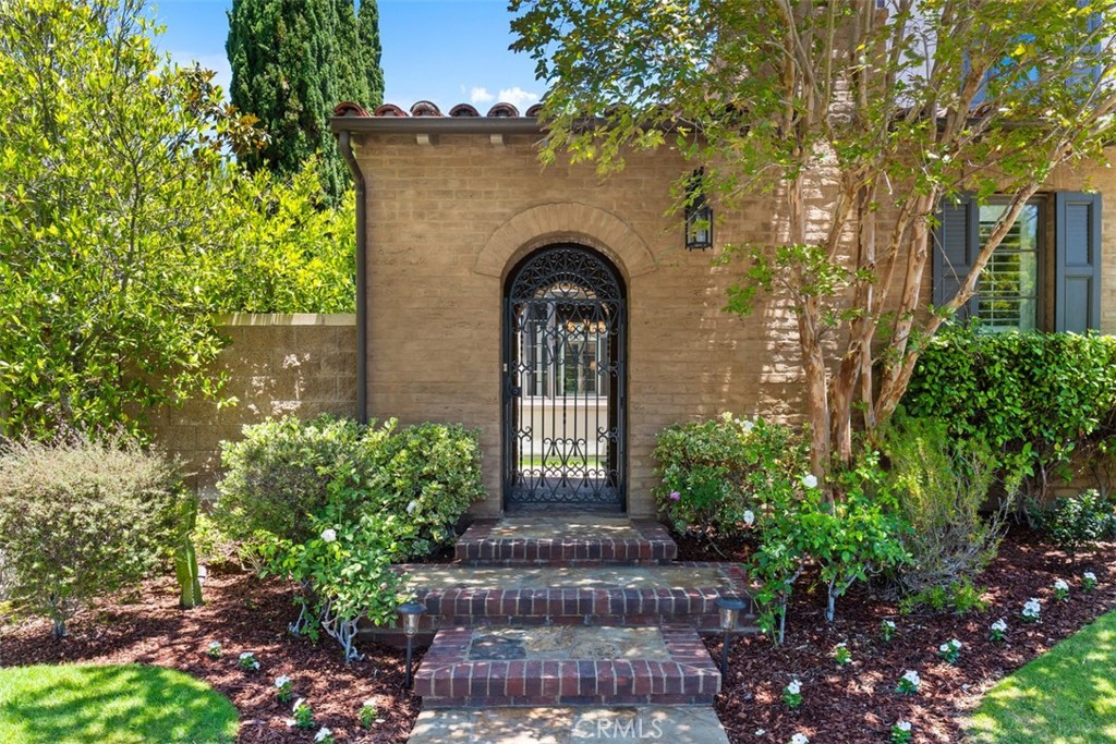 34 Tall Hedge
