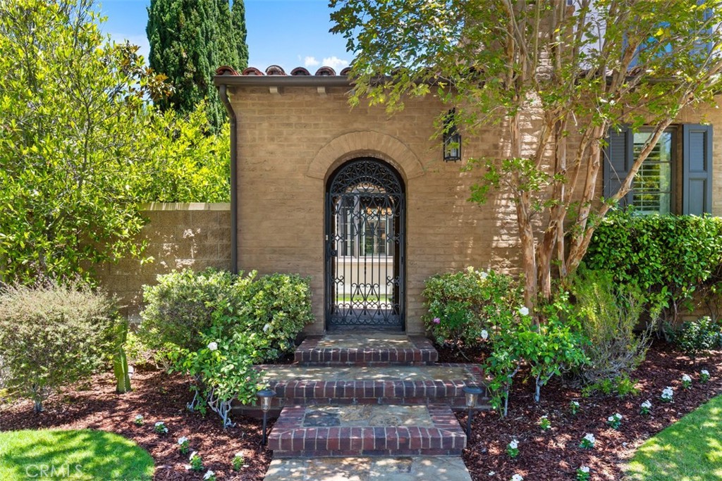 34 Tall Hedge