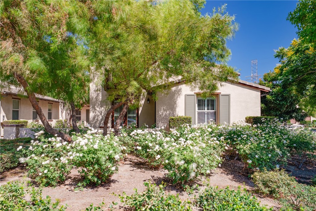 Welcome to this charming property featuring 1,761 sqft with 2 bedrooms, 2 bathrooms, and an attached 2-car garage. The NEW painted interior welcomes you with warmth and style, complemented by NEW elegant laminate floors and tile throughout. Enjoy the convenience of plantation shutters, and a tankless water heater for modern comfort.
Step into the open floorplan concept Great Room overlook the dining area with French Door. Enjoy the treen trees scenes inside the house or outside the side courtyard. Elegant kitchen with ample cabinet space, island and extra storage area for pantry. The laundry in unit with cabinets adds practicality to daily routines. Retreat to the spacious primary bedroom boasting a walk-in closet for all your storage needs. Both bathrooms offer ceiling fans and contemporary finishes for a touch of luxury.
This home also grants access to the Clubhouse, beautiful pool and sport courts. Immerse yourself in the vibrant community atmosphere, with holiday activities like Movies in the Park, Egg Hunt, 4th of July celebrations, Friendsgiving, Winter Tree Lighting, and Halloween Costume Contests for both you and your furry friends.
Experience the essence of community living in this tight-knit neighborhood, where every day feels like a celebration. Don't miss the opportunity to make this your new home!