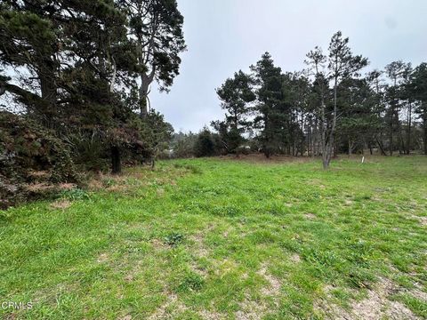 Photo of 32875 Simpson Lane, Fort Bragg, CA 95437 (MLS # C1-11235)