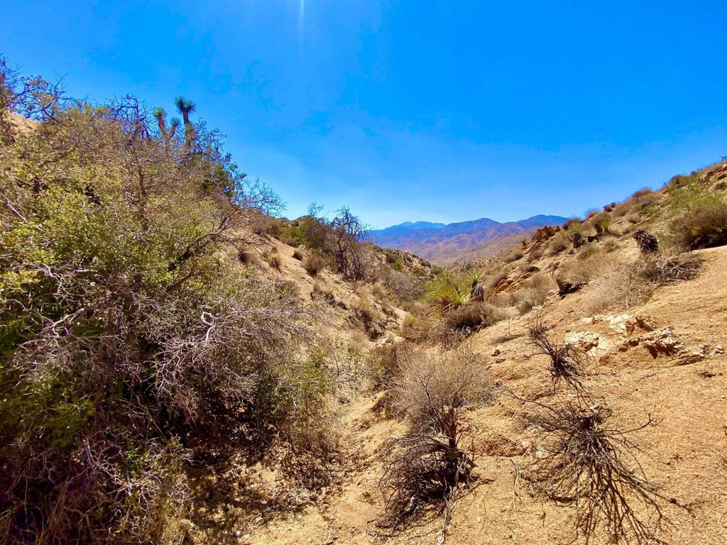 Not Applicable-1 - Land