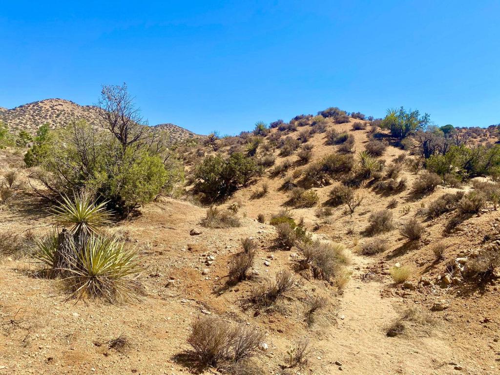 Not Applicable-1 - Land