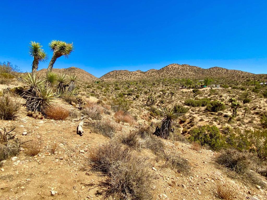 Not Applicable-1 - Land