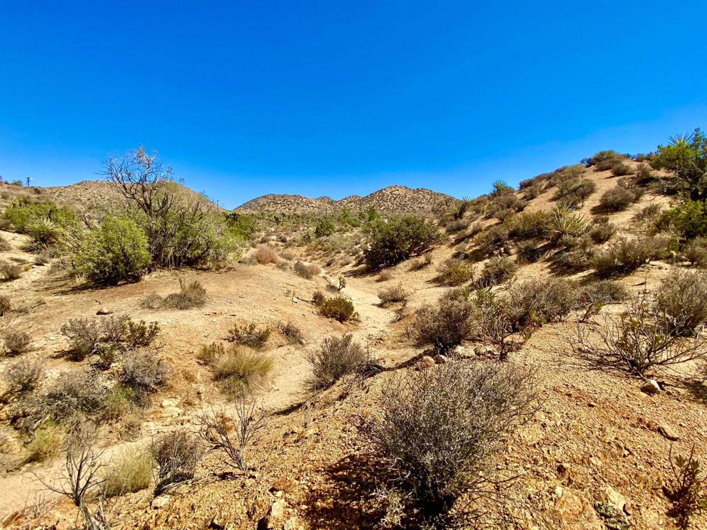 Not Applicable-1 - Land