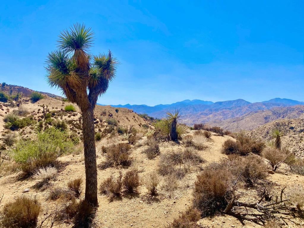 Not Applicable-1 - Land