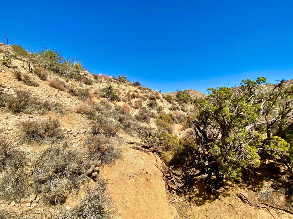 Not Applicable-1 - Land