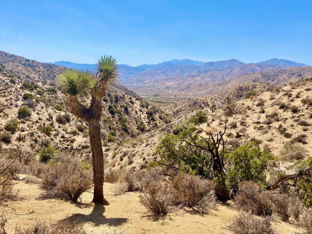 Not Applicable-1 - Land