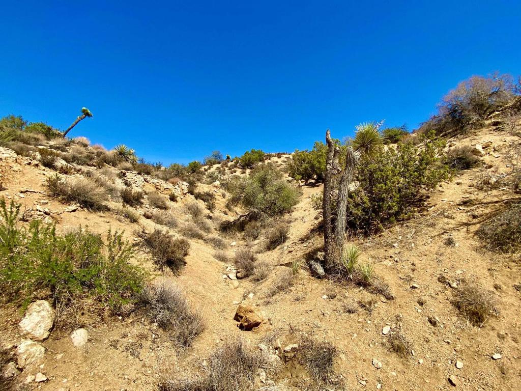 Not Applicable-1 - Land