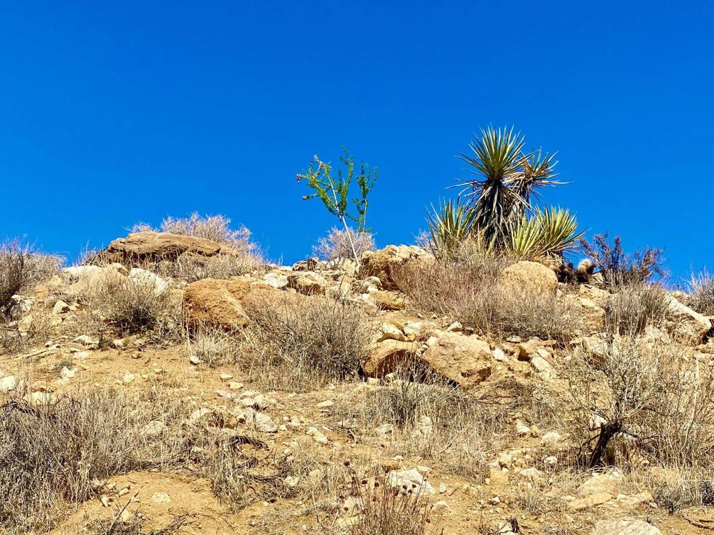 Not Applicable-1 - Land