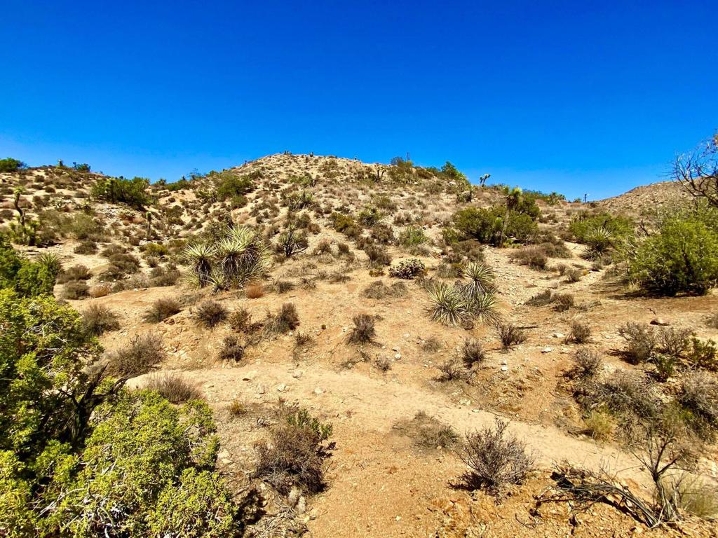 Not Applicable-1 - Land