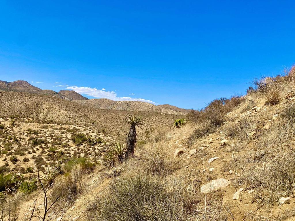 Not Applicable-1 - Land