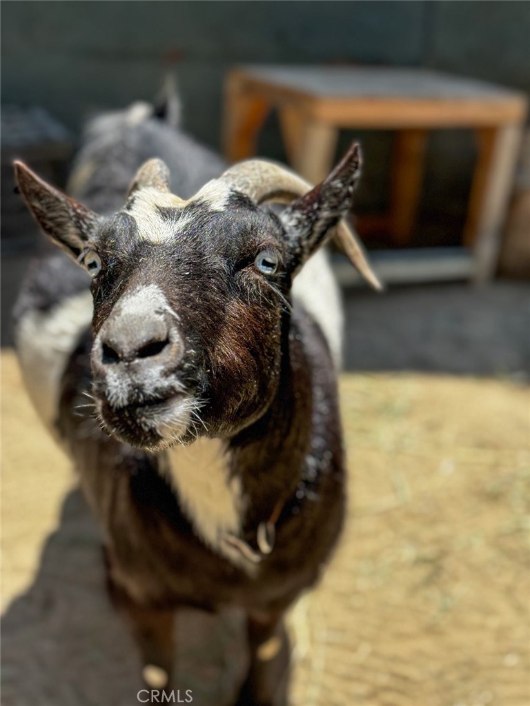 Santa Ana Heights Residential (SAHR) - Land