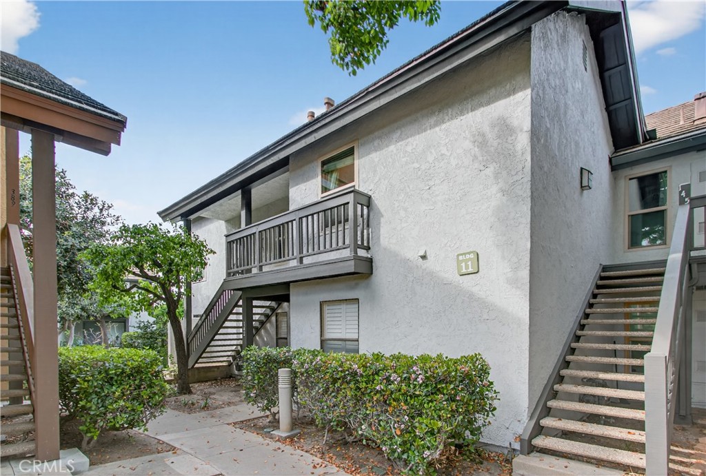 143 Orange Blossom 113