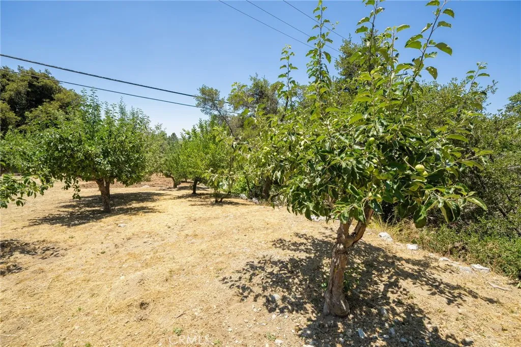 Oak Glen, California 92399, United States, 4 Bedrooms Bedrooms, ,3 BathroomsBathrooms,Residential,Active,36691